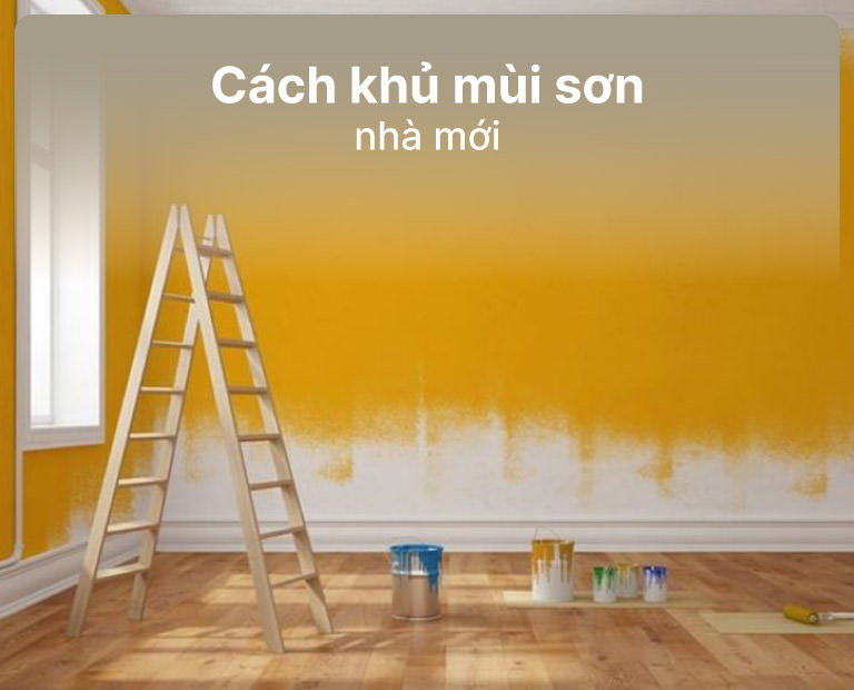 Cách Khử Mùi Sơn Nhà Mới Như Thế Nào?