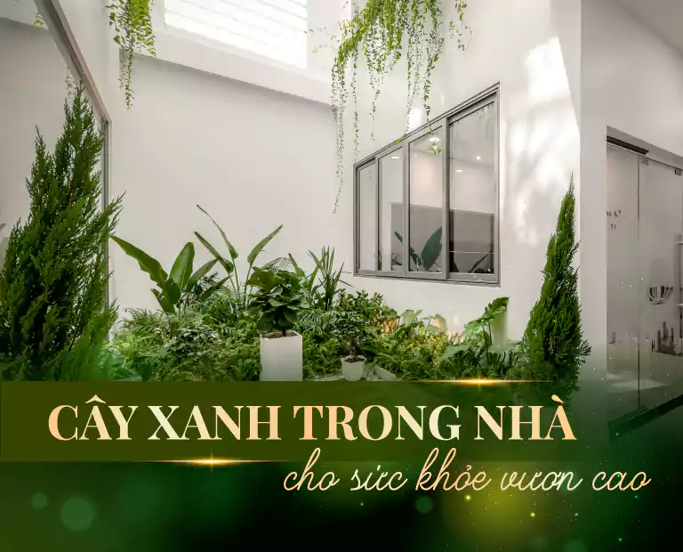 Thiết Kế Cây Xanh Trong Nhà Cho Sức Khỏe Vươn Cao