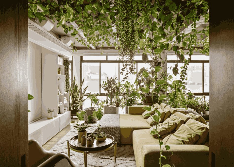 Biophilic Design Nguyen Li 6 Da Dang Sinh Hoc